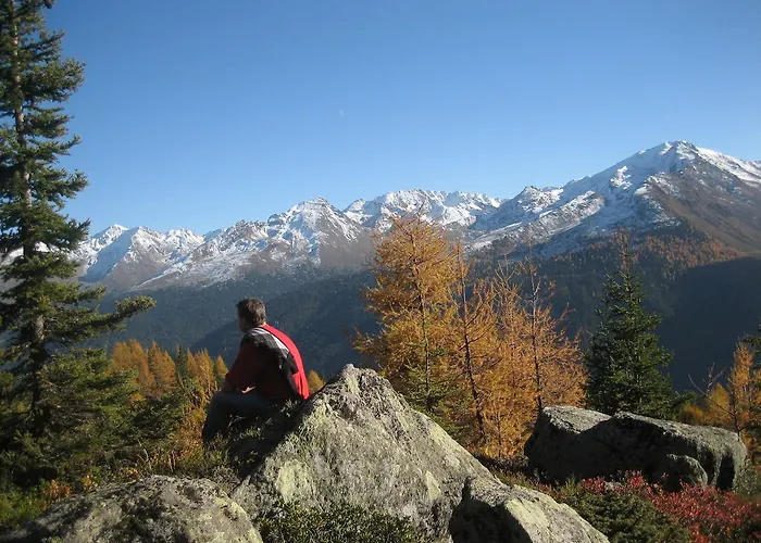 招待所 豪斯维切尔公寓酒店 3*